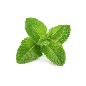 NovaRX® MagniSooth Nerve Therapy Roll On image NovaRX® MagniSooth Nerve Therapy Roll On