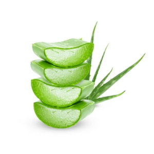 NovaRX® MagniSooth Nerve Therapy Roll On image NovaRX® MagniSooth Nerve Therapy Roll On