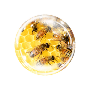 NovaRX® Bee Venom Joint Therapy Botanical Patch image NovaRX® Bee Venom Joint Therapy Botanical Patch