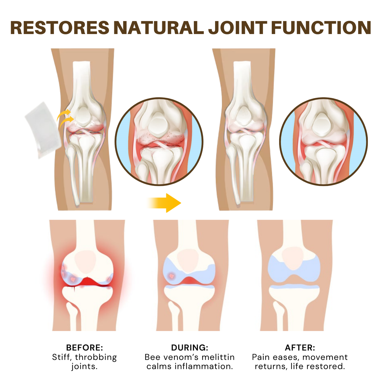 NovaRX® Bee Venom Joint Therapy Botanical Patch
