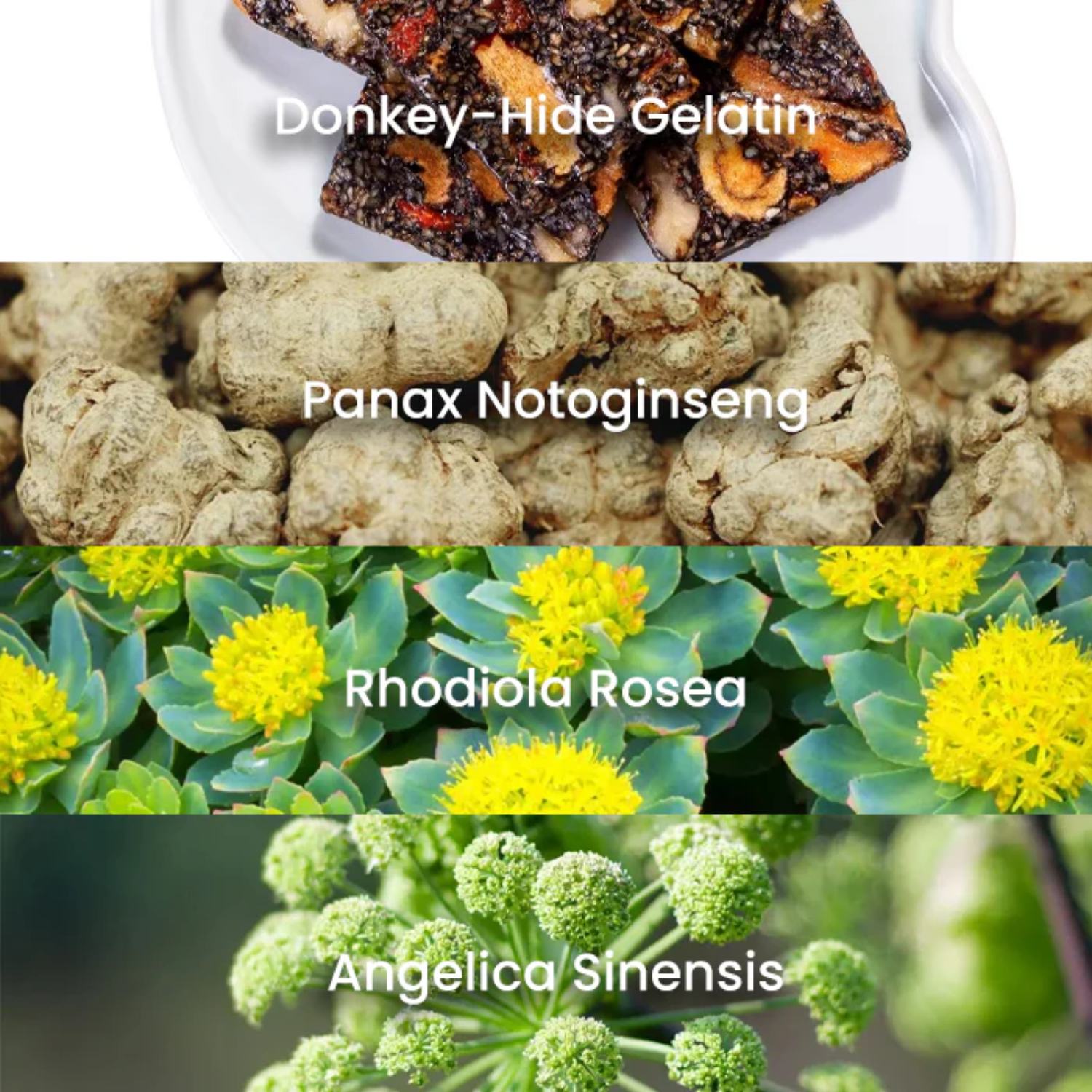 Fivfivgo® Natural Hemorrhoid Capsules image Fivfivgo® Natural Hemorrhoid Capsules