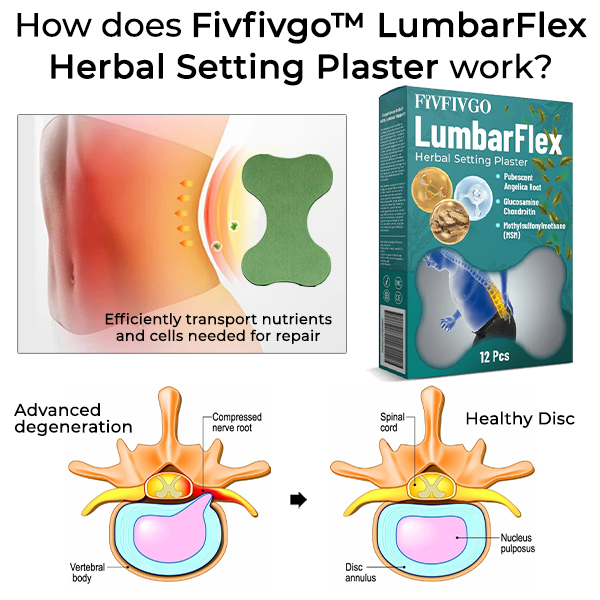 Fivfivgo™ LumbarFlex Herbal Setting Plaster